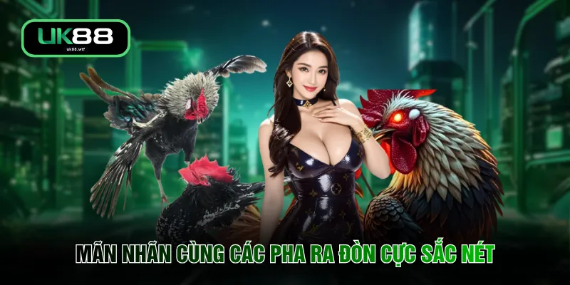 Mãn nhãn cùng các pha ra đòn cực sắc nét 