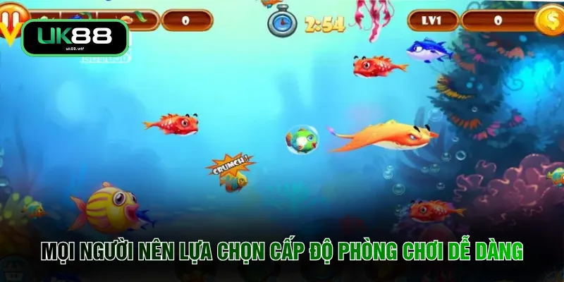 Mọi người nên lựa chọn cấp độ phòng chơi dễ dàng