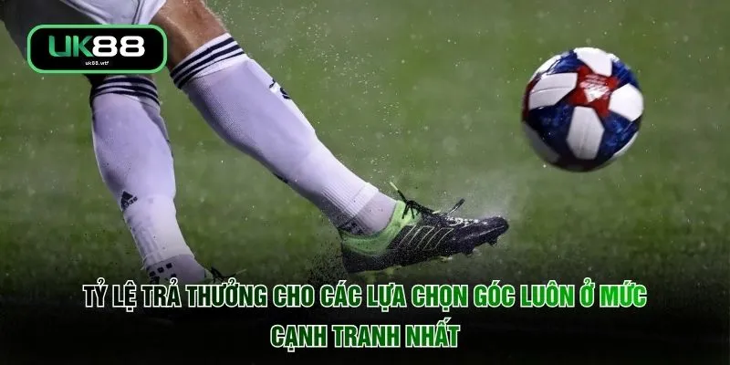 Tỷ lệ trả thưởng cho các lựa chọn góc luôn ở mức cạnh tranh nhất